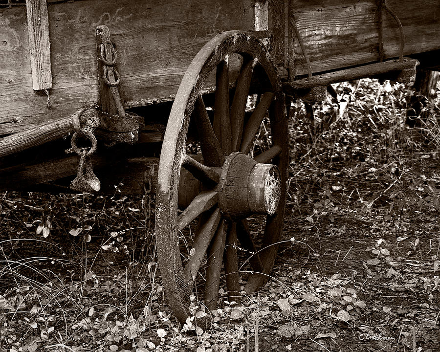 Old Wagon Wheel Photograph by Christopher Holmes