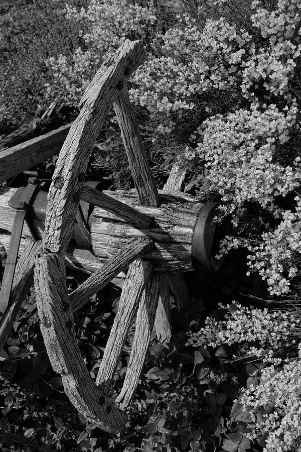 Old Wagon Wheel in Black and white and White  Photograph by Buck Buchanan