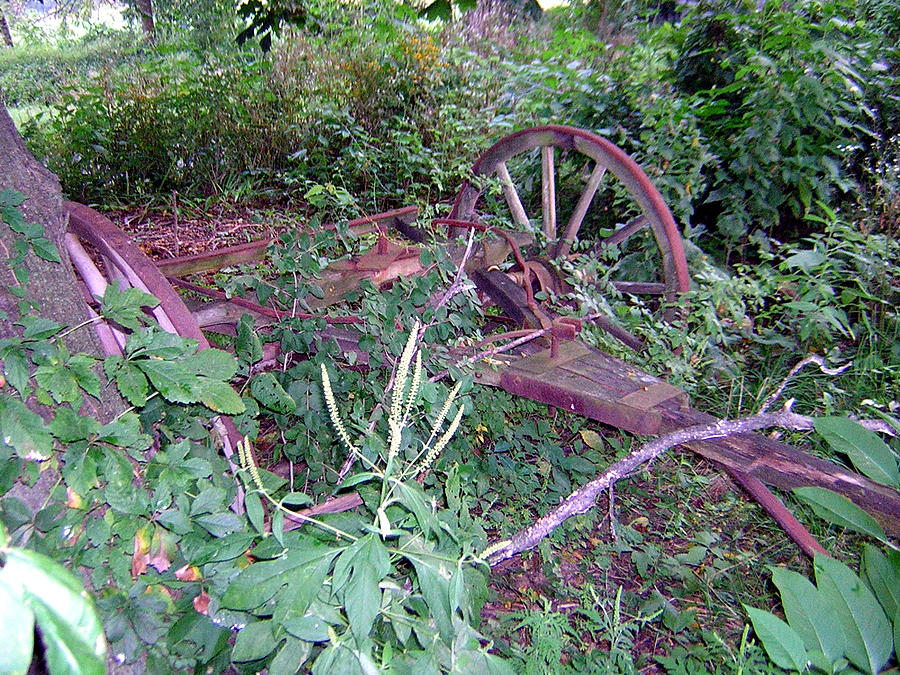 Old Wagon Wheels 2 Photograph by George Jones