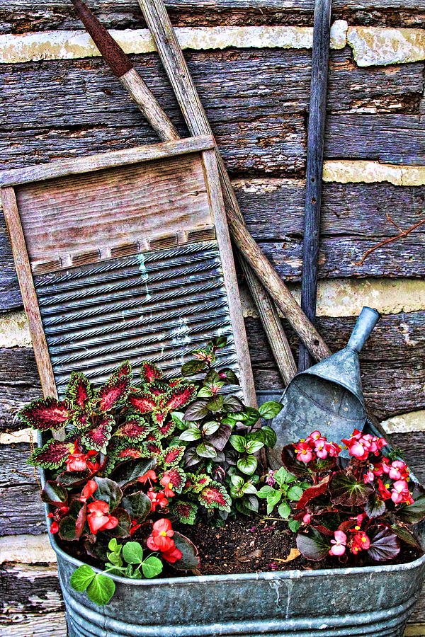 Flower Photograph - Old Wash Tub with Plants by Linda Phelps