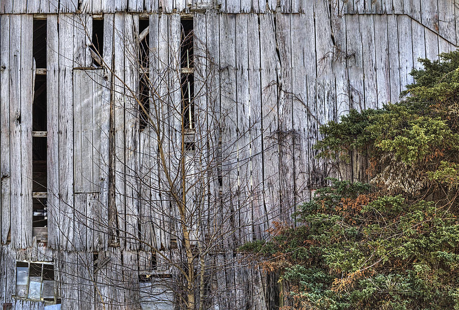 Old Weathered Barn Siding Photograph by William Sturgell