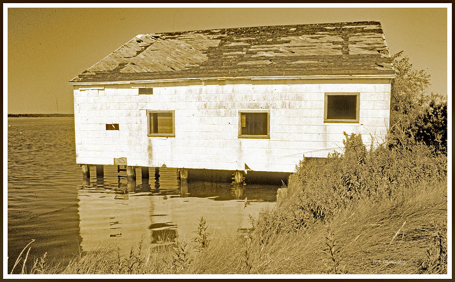 Old, Weathered Boathouse Photograph by A Macarthur Gurmankin