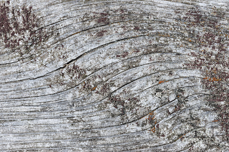 Old weathered wood abstract Photograph by Elena Elisseeva