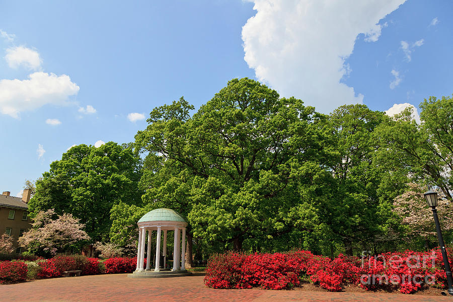 Old Well at UNC Chapel Hill Photograph by Jill Lang