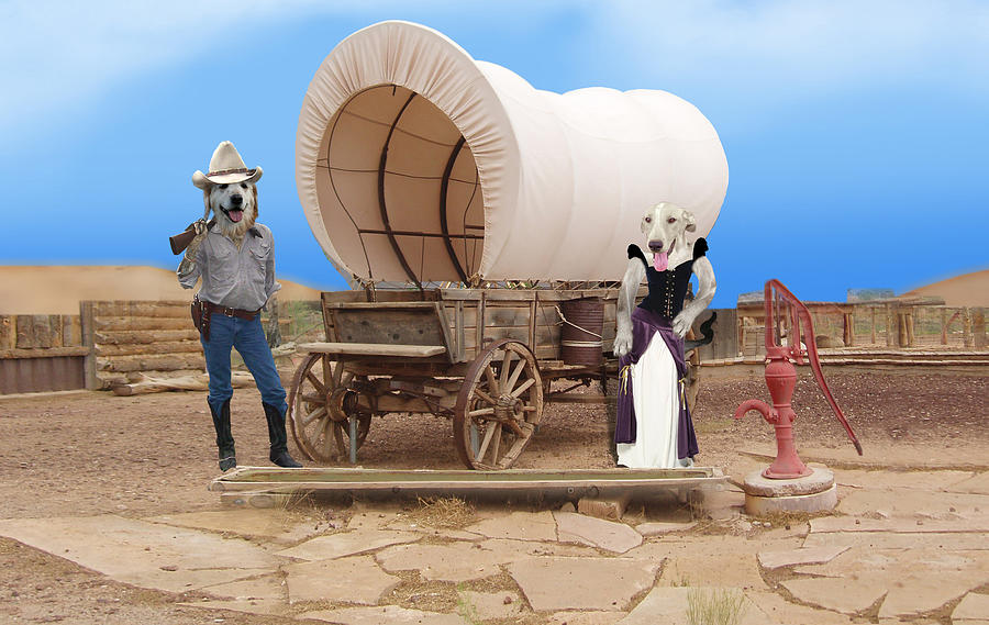Old West Dogs Photograph by Gravityx9  Designs