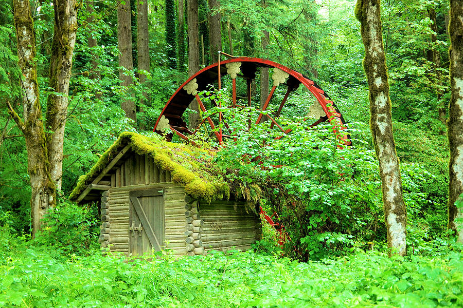 Tree Photograph - Old wheel and cabin by Jeff Swan