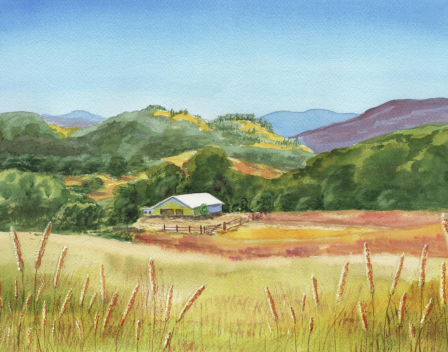 Old White Barn At Sonoma Mountains Ranch Painting