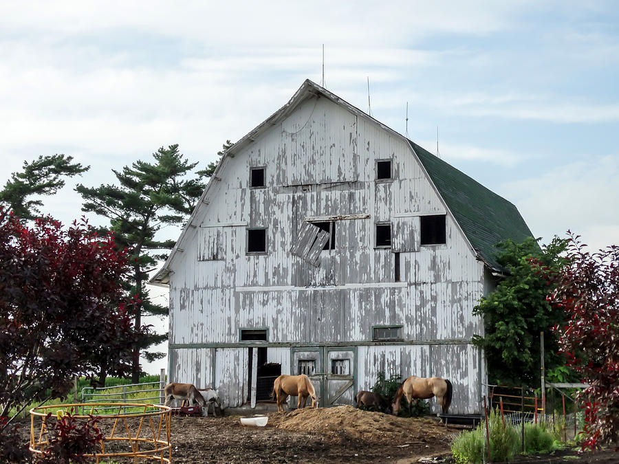 Barn Photograph - Old White Barn by Cynthia Woods