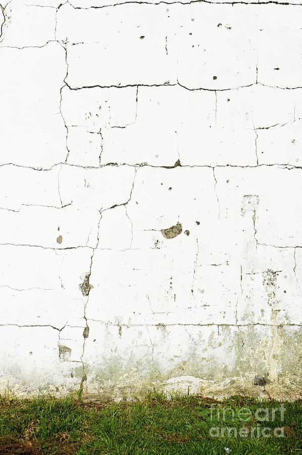 Old white wall Photograph by Tom Gowanlock