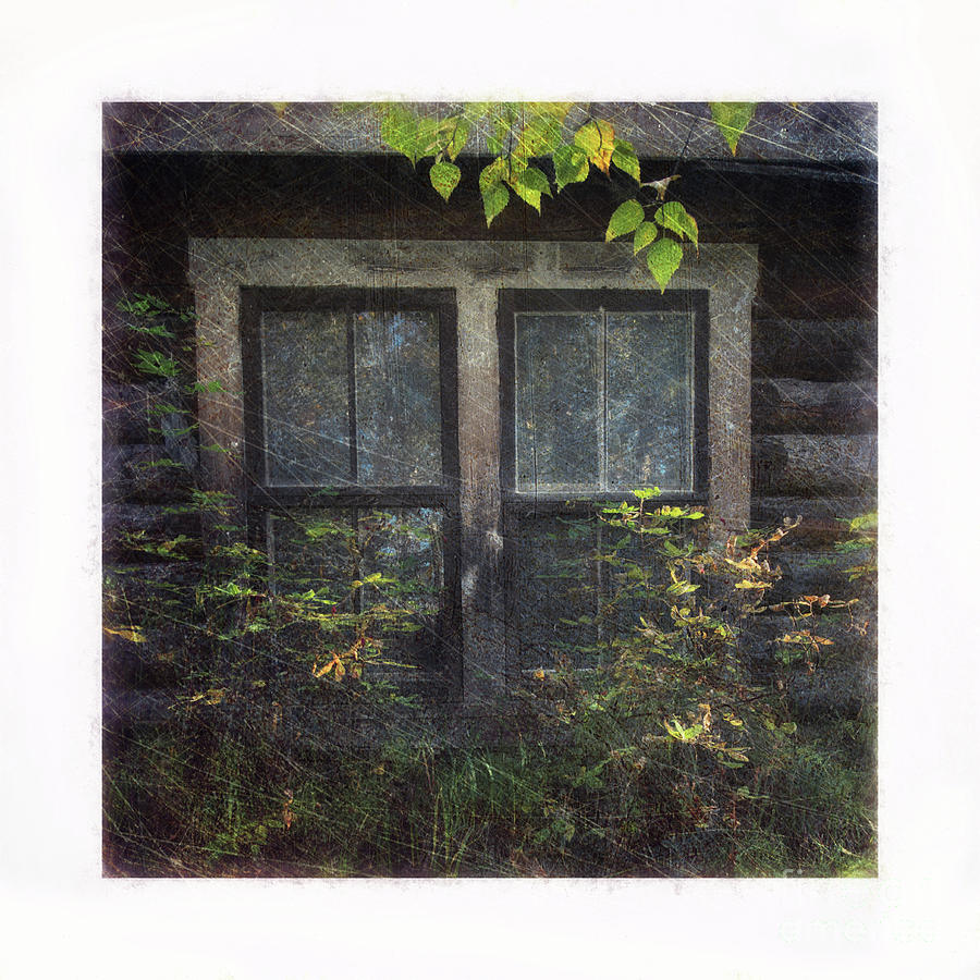 Old Window 2 Photograph by Priska Wettstein