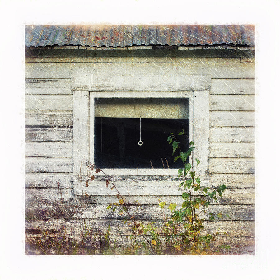 Old Window 6 Photograph by Priska Wettstein