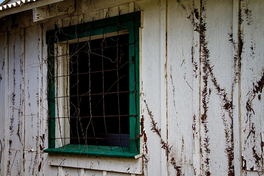 Old Window Photograph by Marzena Grabczynska Lorenc