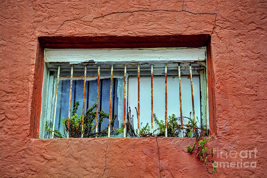 Old window Photograph by Savannah Gibbs