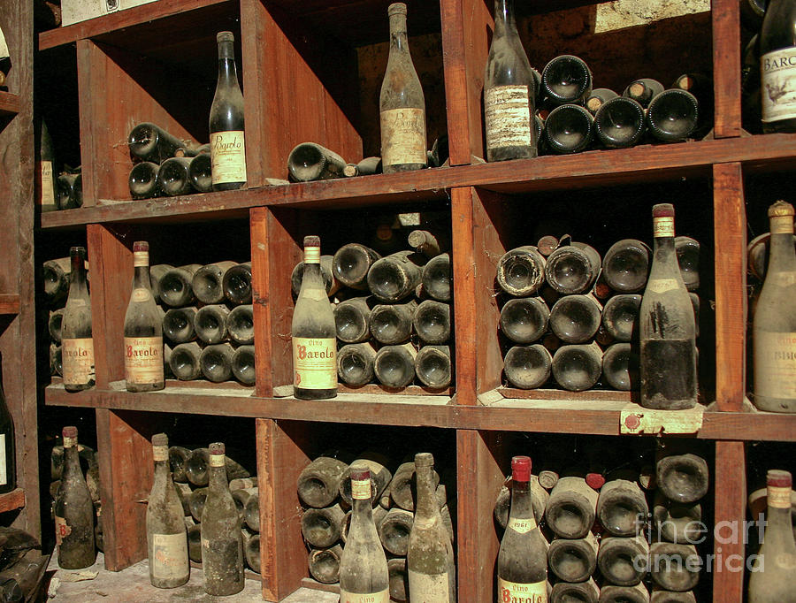 Old wine cellar Photograph by Patricia Hofmeester