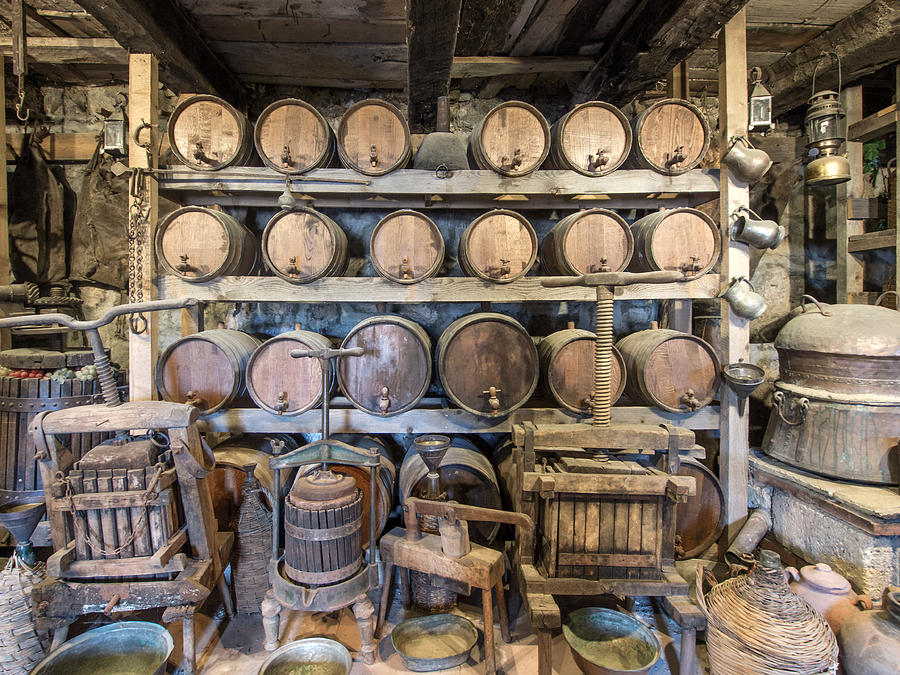 Old Wine Cellar Photograph by Roy Pedersen