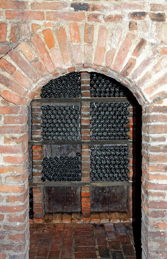 Old Wine Cellar Photograph by Sally Weigand