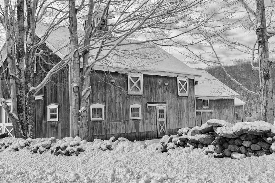 Old Winter bw  Photograph by Bill Wakeley