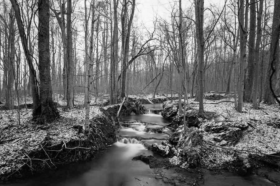 Old Winter Creek Photograph by Michael Scott