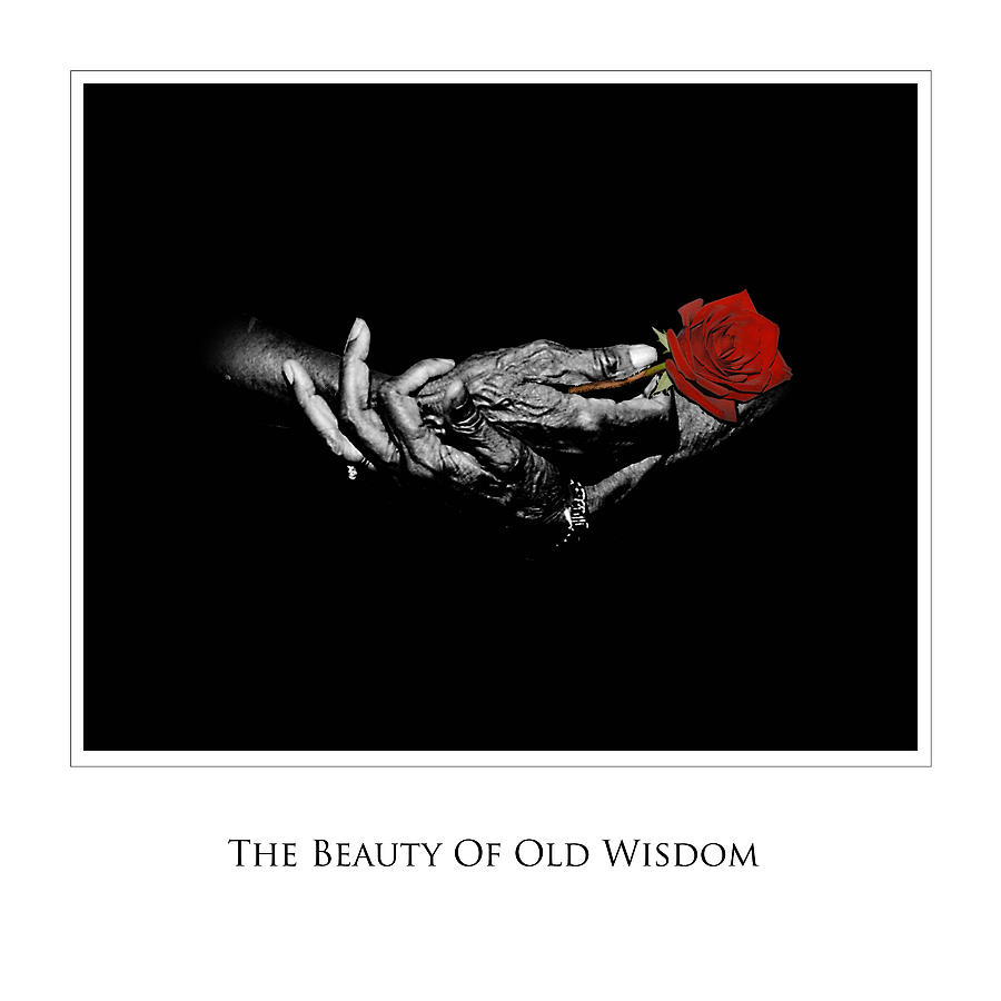 Old Wisdom Photograph by Richard Gordon Old Wisdom Photograph by Richard Gordon