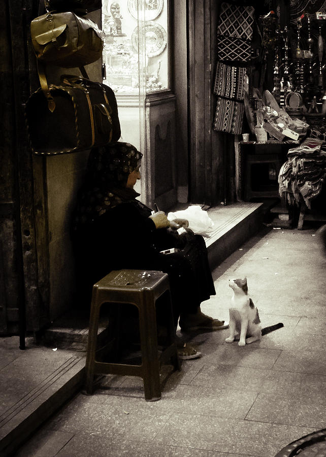 Old Woman and cat Photograph by Patrick Kain