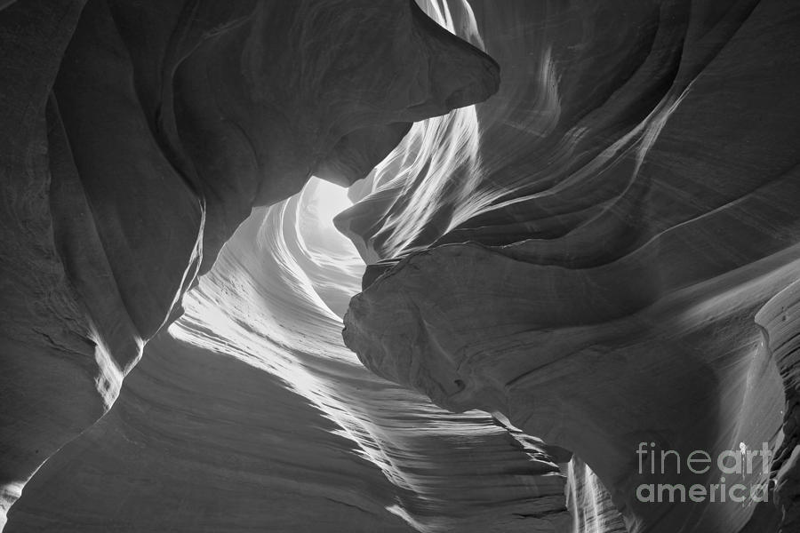 Old Woman In The Canyon Black And White Photograph by Adam Jewell