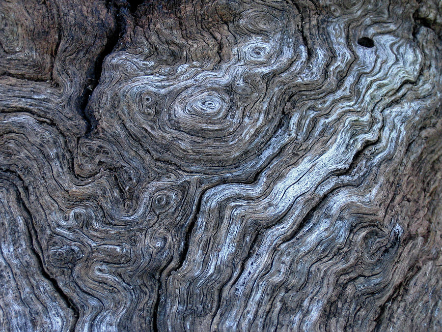Abstract Photograph - Old Wood by Ira Marcus