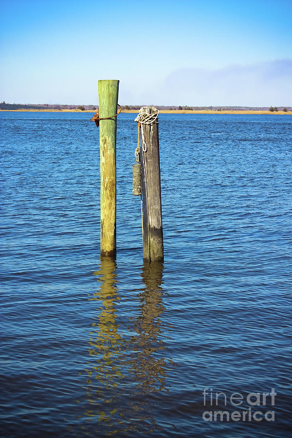Old Wood Pilings in Blue Water Photograph by Colleen Kammerer