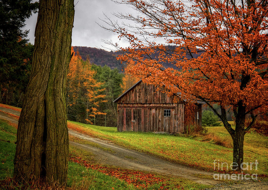New England Farms Photograph - Old Wood Shed by Diana Nault New England Farms Photograph - Old Wood Shed by Diana Nault