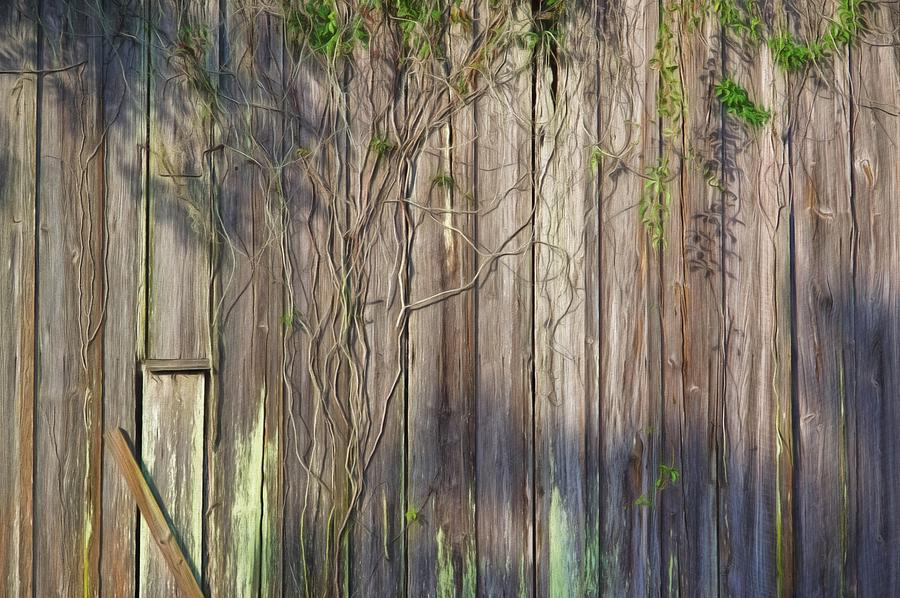 Old Wood Siding Photograph by Richard Rizzo