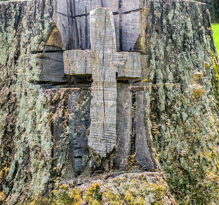 Old Wooden Cross Carved in Stump Photograph by Douglas Barnett