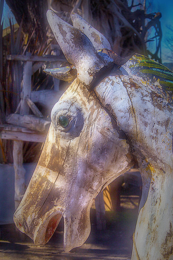 Old Wooden Horse head Photograph by Garry Gay