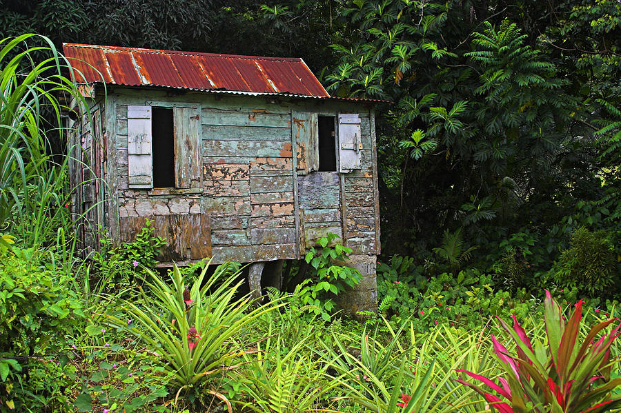 Old Wooden House-St Lucia Photograph by Chester Williams