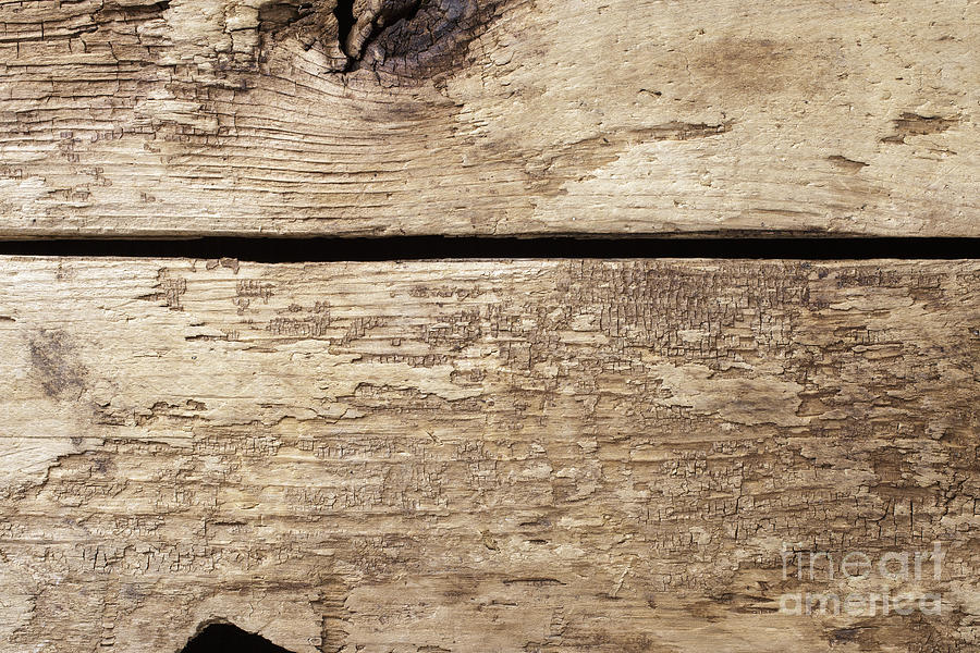 Old Wooden Planks Photograph by Edward Fielding