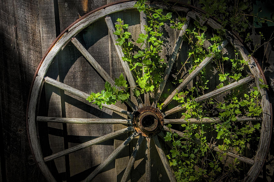 Old Wooden Wagon Wheel Photograph by Randall Nyhof