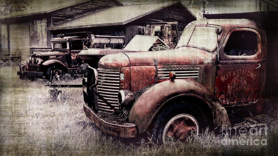 Truck Photograph - Old Work Trucks by Perry Webster