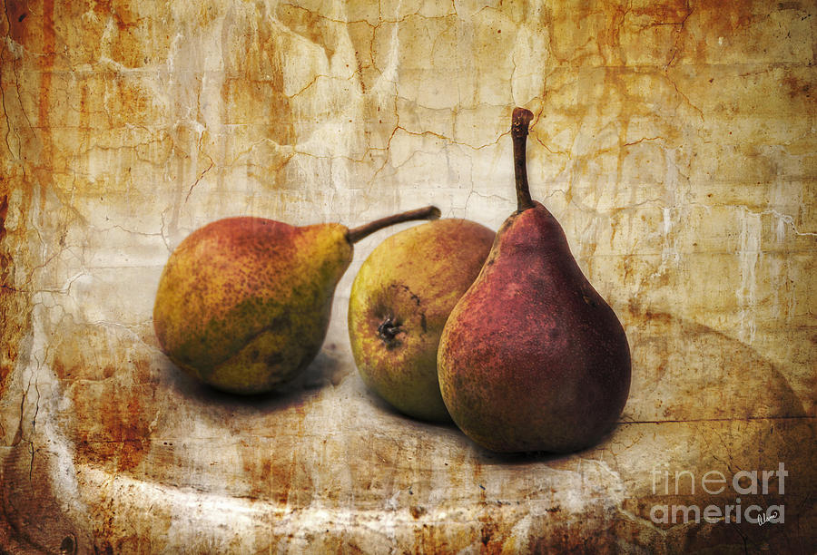 Old World Pears Photograph by Alana Ranney