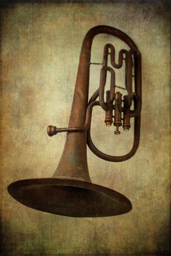 Old Worn Horn Photograph by Garry Gay