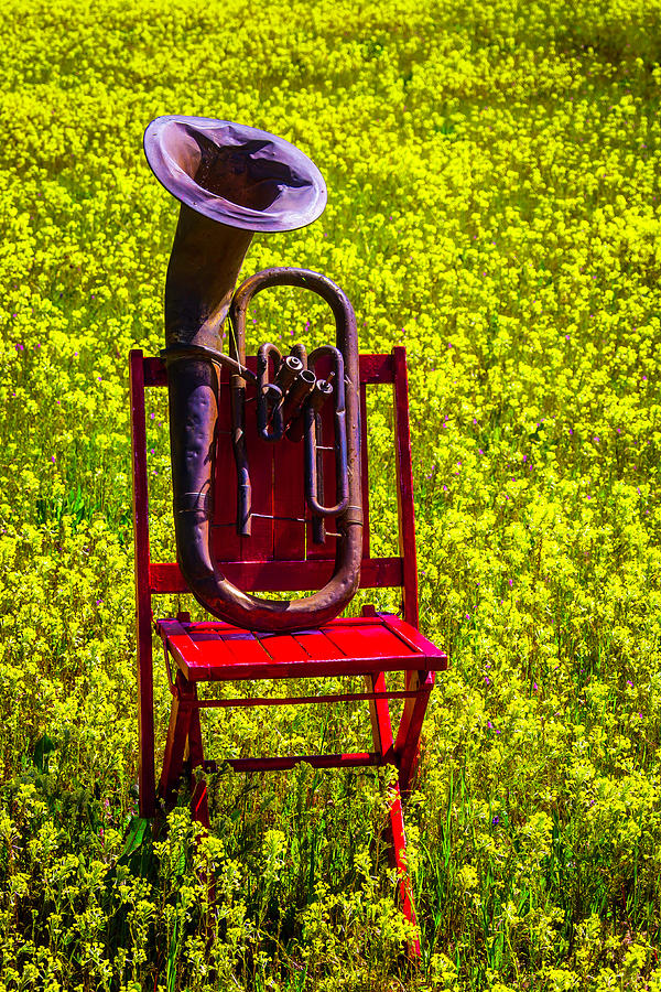 Old Worn Tuba On Red Chair Photograph by Garry Gay