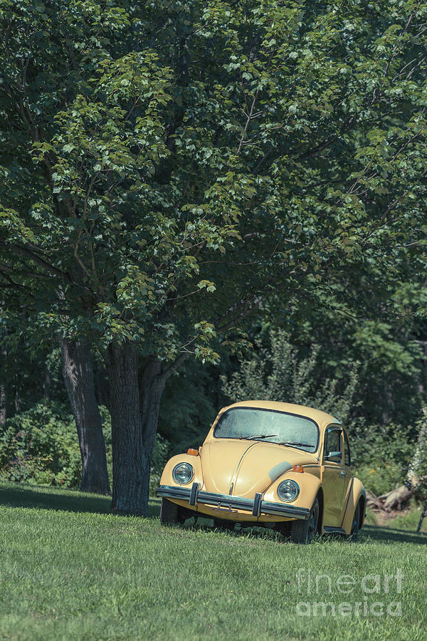 Vintage Photograph - Old Yellow VW Bug under a tree by Edward Fielding