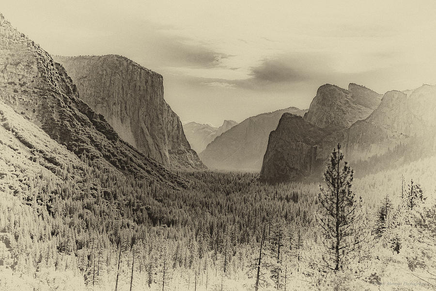 Old Yosemite Photograph by Phil Abrams