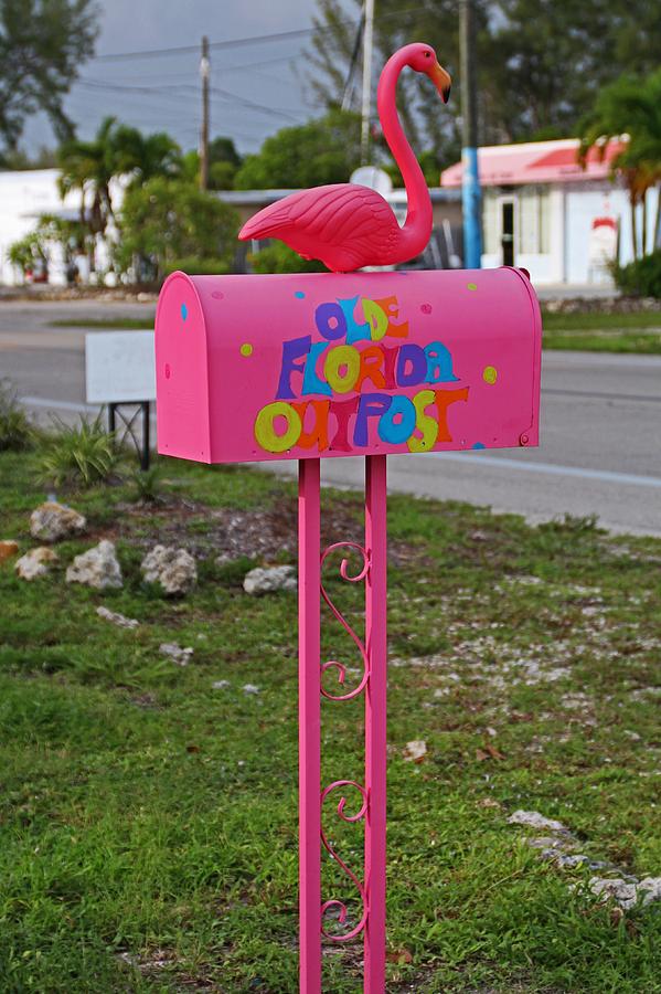 Olde Florida Outpost Mailbox Photograph by Michiale Schneider