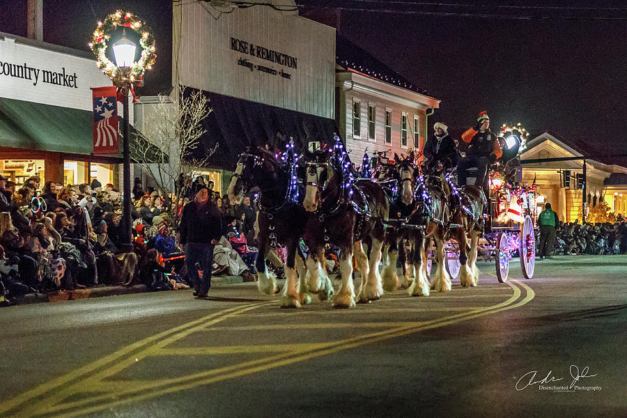 Horse Photograph - Olde Tyme Travel Clydesdales lit up by Andrew Johnson