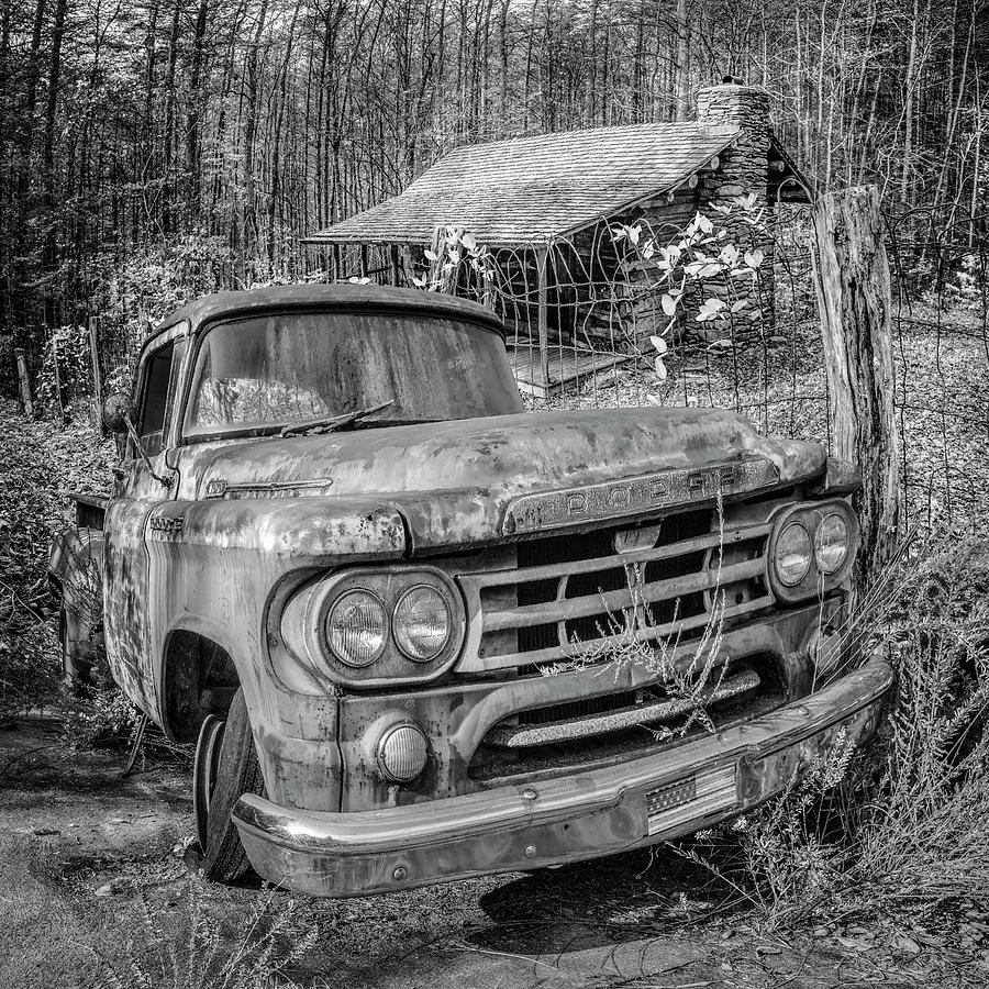 Oldie but Goodie 1959 Dodge Pickup Truck in Black and White Photograph by Debra and Dave Vanderlaan