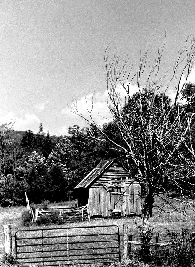 Oldshack Photograph by Curtis J Neeley Jr