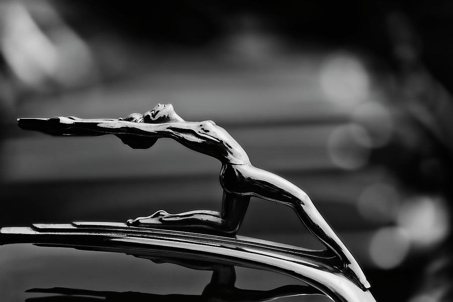 Black And White Photograph - Oldsmobile 1933 Hood Ornament by Carol Leigh