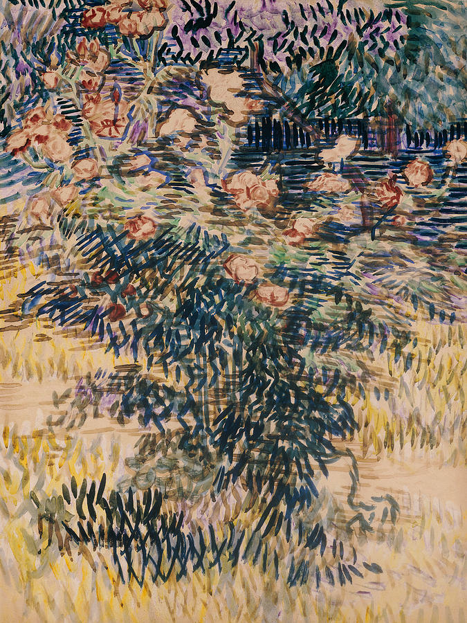 Oleanders, the Hospital Garden at Saint Remy, 1889 Painting by Vincent Van Gogh
