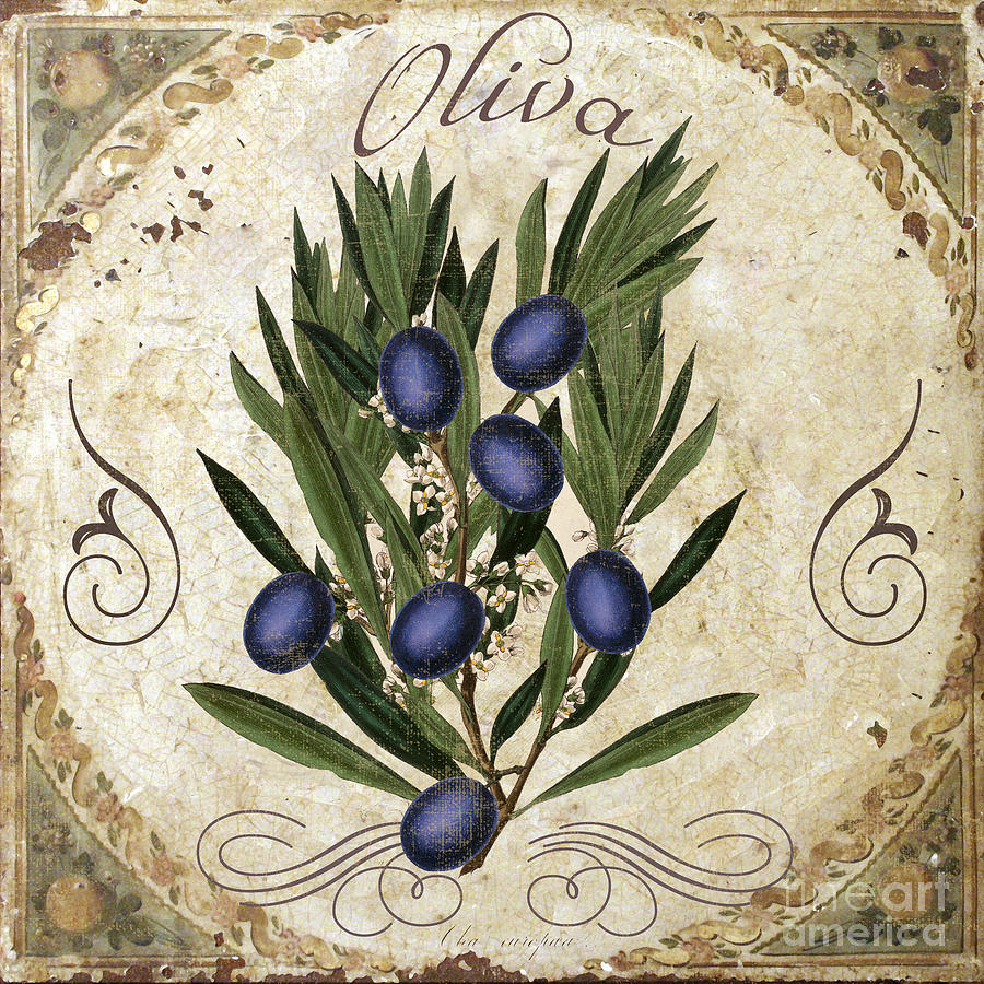 Oliva Black Olives Painting by Mindy Sommers