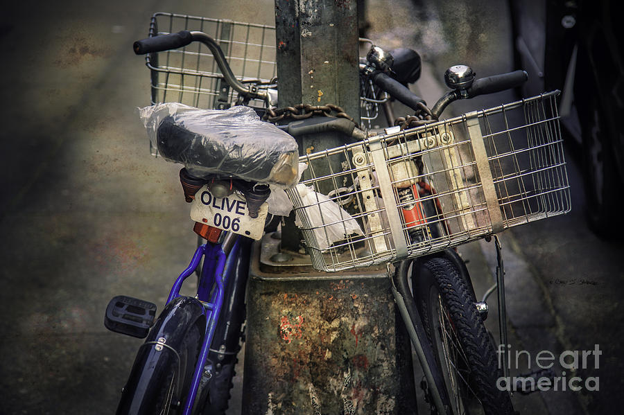 Olive and Friend Bicycles Photograph by Craig J Satterlee