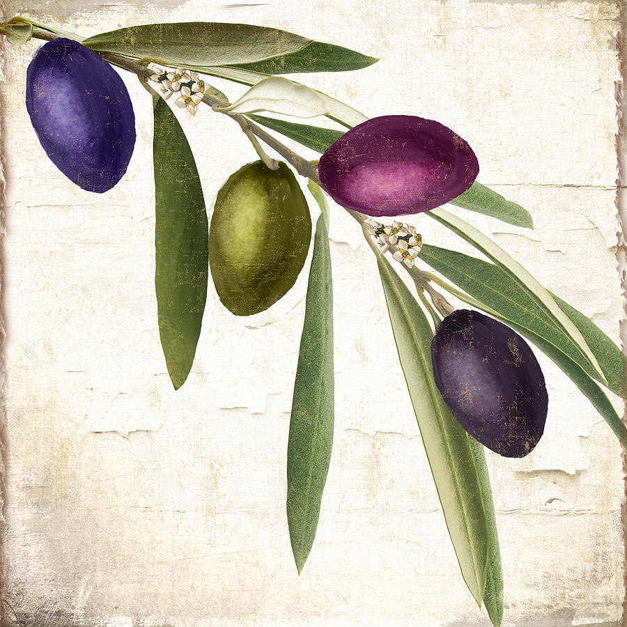 Olive Branch Painting by Mindy Sommers