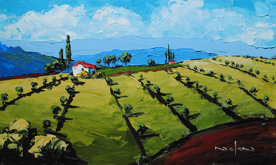 Olive Grove Painting by Nolan Clark | Fine Art America